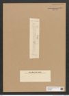 Diatomeae indet. Zeichnungen Sammlung Grunow Nr. 6354 (NHMW-BOT-W0375005)